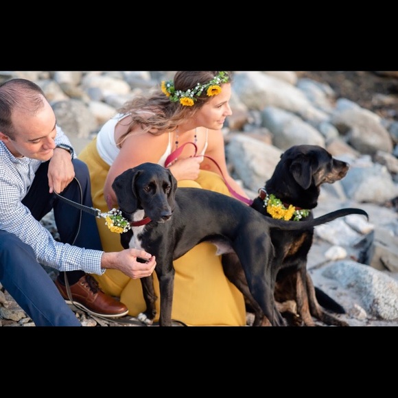 Welcome to my closet! - Picture 1 of 2